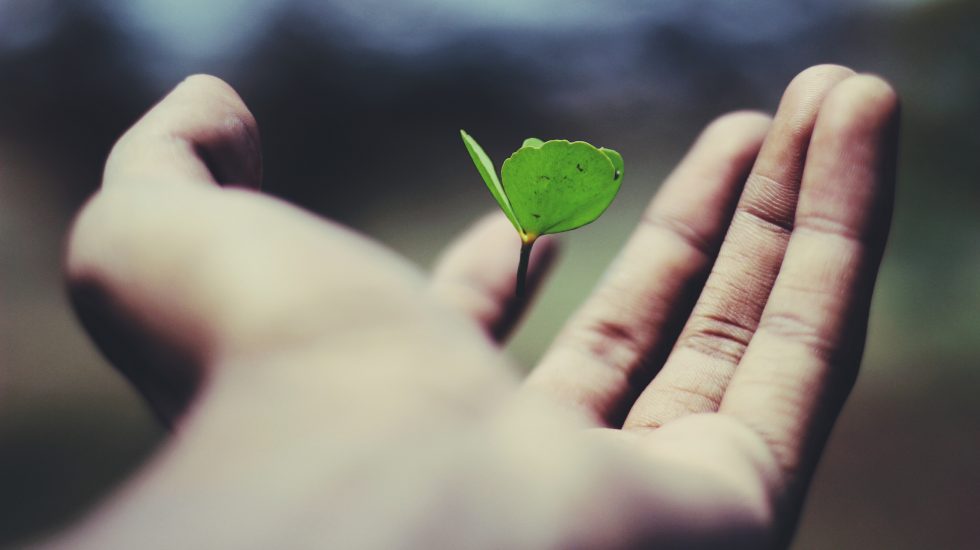 farmersuccess-unsplash-980x550